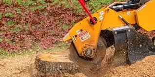pronalon demoliciones
